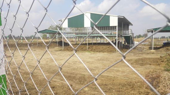 Chain Link Fencing