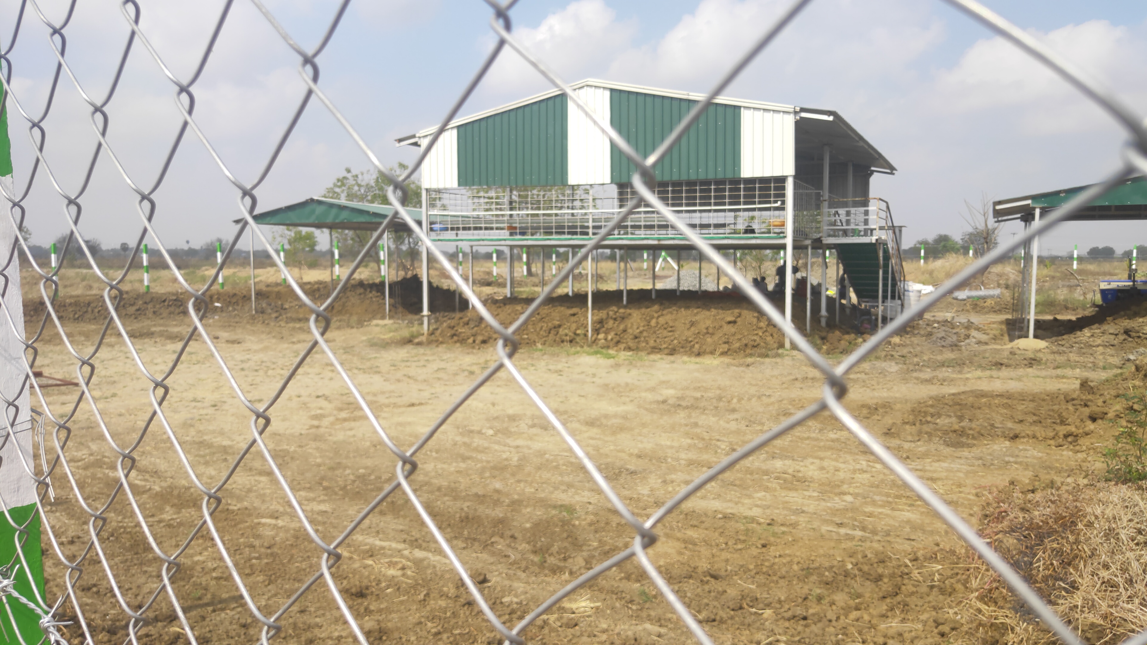 Chain Link Fencing
