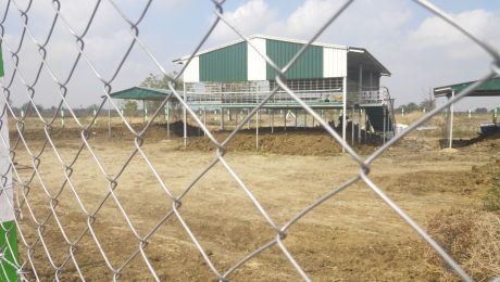 Chain Link Fencing Chain Link Fencing